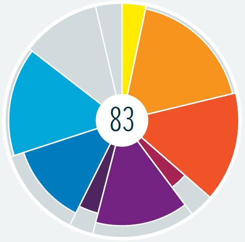 A pie chart; different-colored slices represent the chapters of this course; the radius of each slice indicates the mastery of the material.